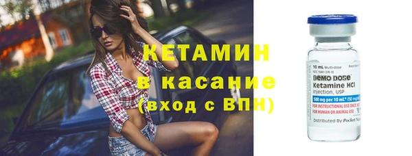 трава Пересвет