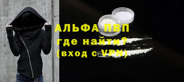 хмурый Аркадак