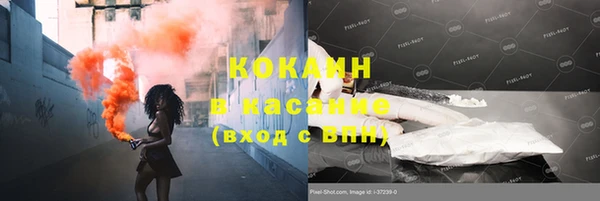 хмурый Аркадак