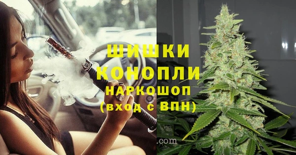гидра Арсеньев