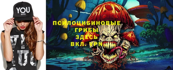 хмурый Аркадак